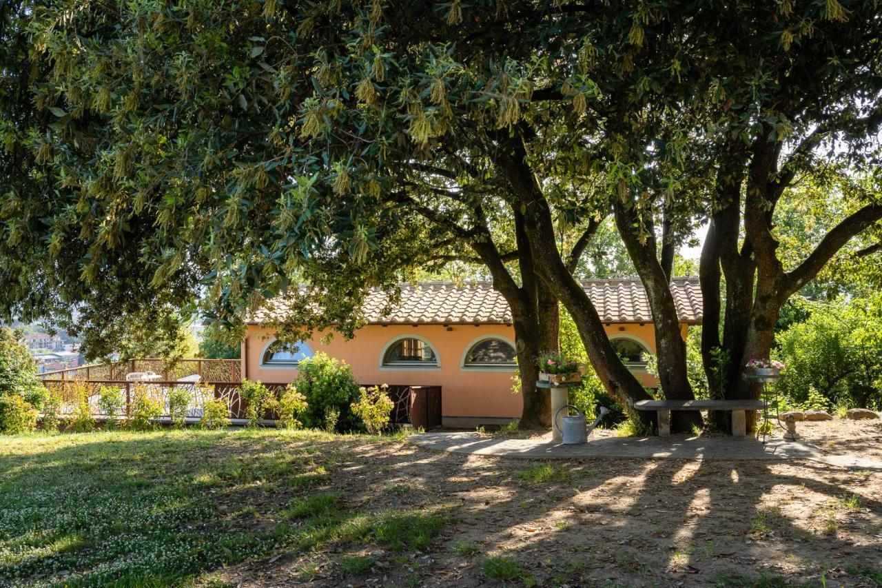 Agriturismo Bellandi Santa Lucia  Exterior photo